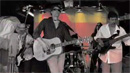 The Digbees